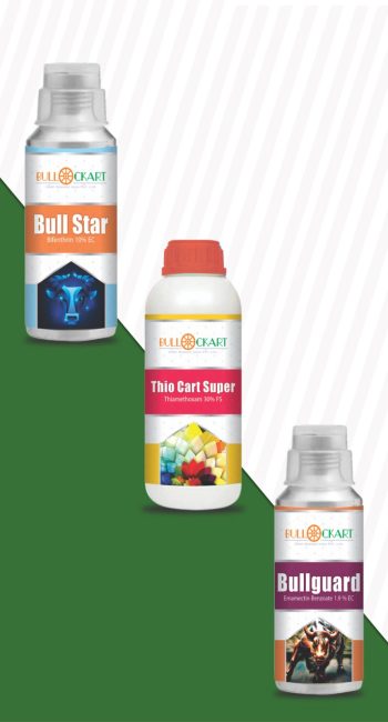 WhatsApp Image 2023-10-11 at 16.21.50