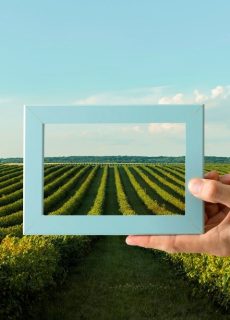 nature-landscape-with-hand-holding-frame-min